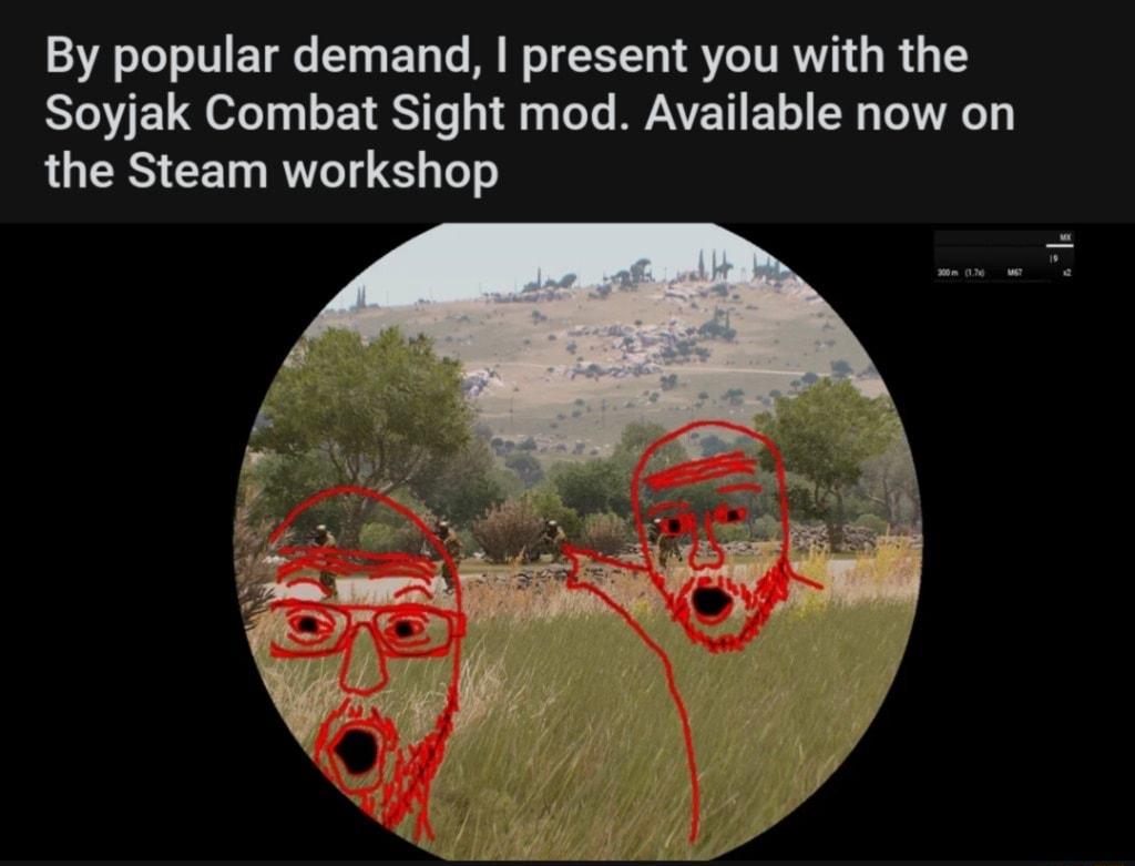 By popular demand present you with the Soyjak Combat Sight mod Available now on LUES CE TS