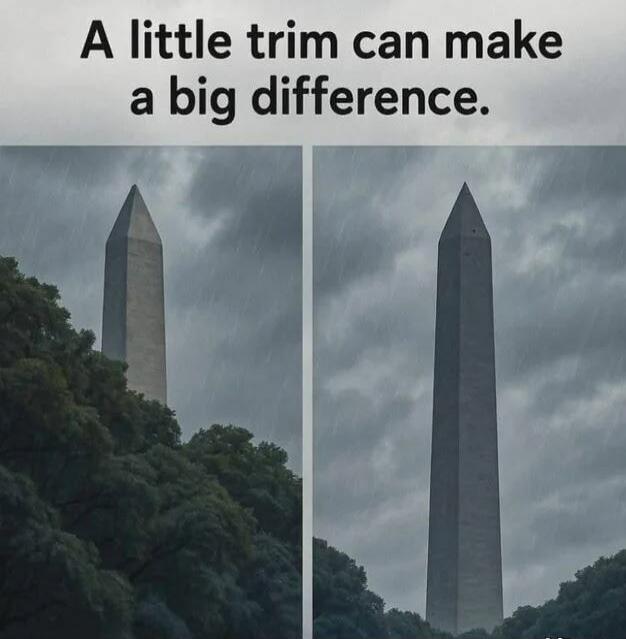 A little trim can make a big difference.