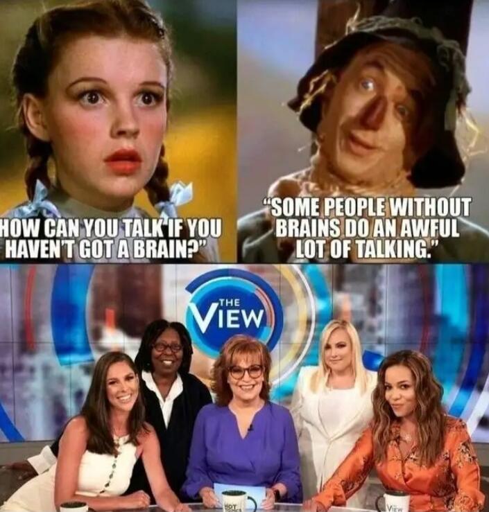 HOW CAN YOU TALK IF YOU HAVEN'T GOT A BRAIN? SOME PEOPLE WITHOUT BRAINS DO AN AWFUL LOT OF TALKING. THE VIEW