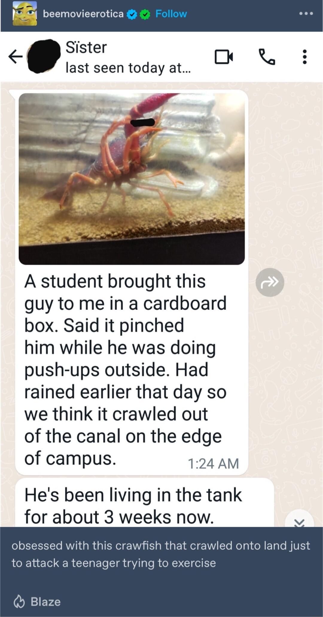 Sister O last seen today at A student brought this guy to me in a cardboard box Said it pinched him while he was doing push ups outside Had rained earlier that day so we think it crawled out of the canal on the edge of campus 124 AM Hes been living in the tank for about 3 weeks now v obsessed with this ci a onto land just to attack a t WRIEE