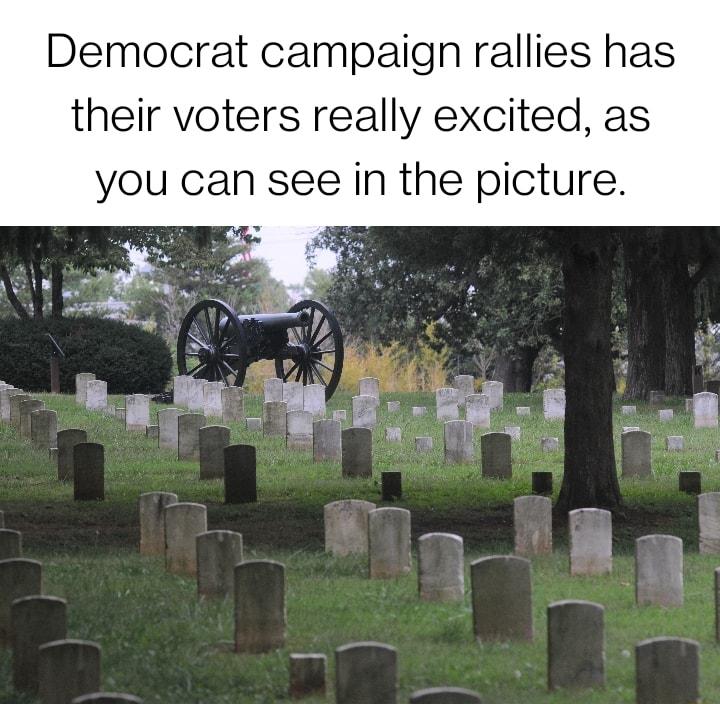 Democrat campaign rallies has their voters really excited as you can see in the picture 1