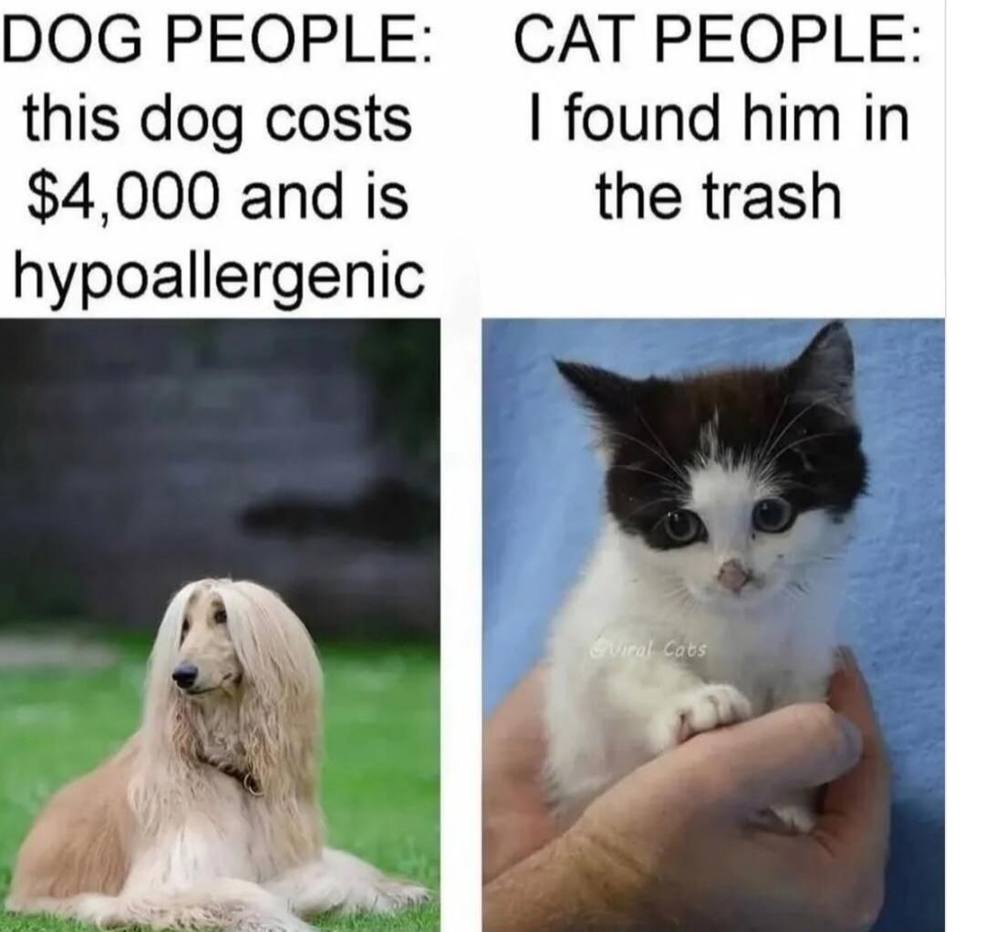 DOG PEOPLE: this dog costs $4,000 and is hypoallergenic CAT PEOPLE: I found him in the trash