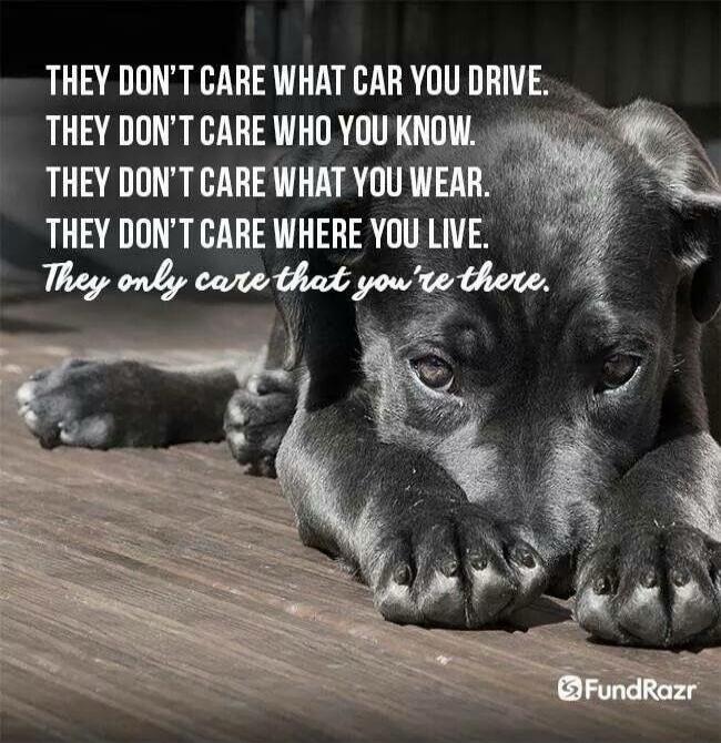 THEY DON'T CARE WHAT CAR YOU DRIVE. THEY DON'T CARE WHO YOU KNOW. THEY DON'T CARE WHAT YOU WEAR. THEY DON'T CARE WHERE YOU LIVE. They only care that you're there. FundRazr