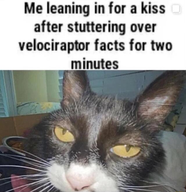 Me leaning in for a kiss after stuttering over velociraptor facts for two __minutes