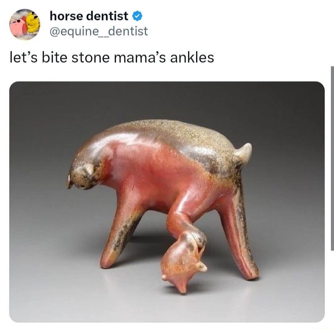 horse dentist @equine__dentist let's bite stone mama's ankles