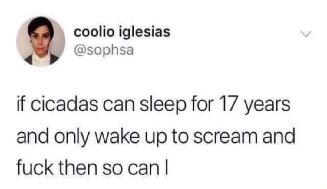 coolio iglesias sophsa if cicadas can sleep for 17 years and only wake up to scream and fuck thensocan