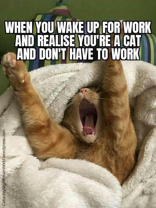 WHEN YOUWAKE UPFORWORK AND REALISE YOURE A IATV an AND DONT HRVE T0WORK