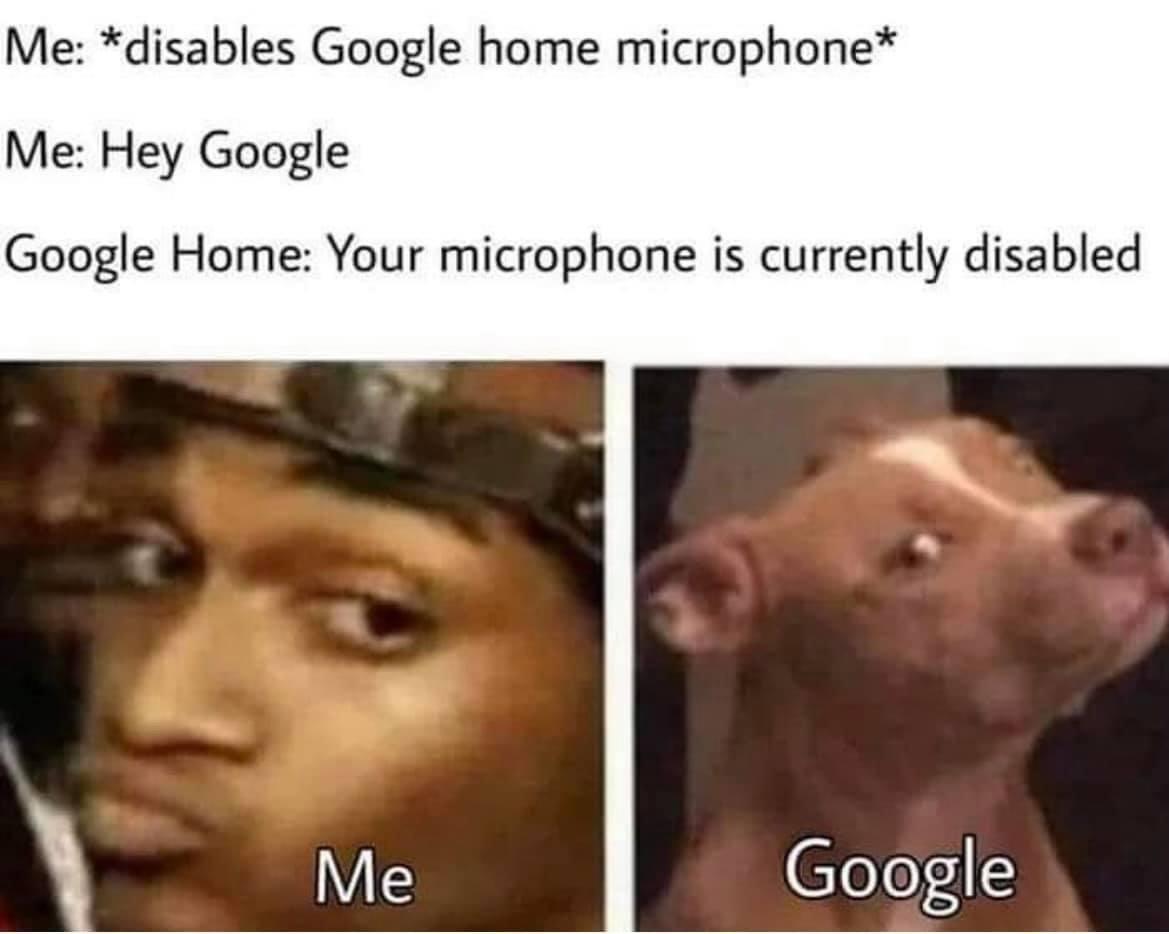 Me disables Google home microphone Me Hey Google Google Home Your microphone is currently disabled