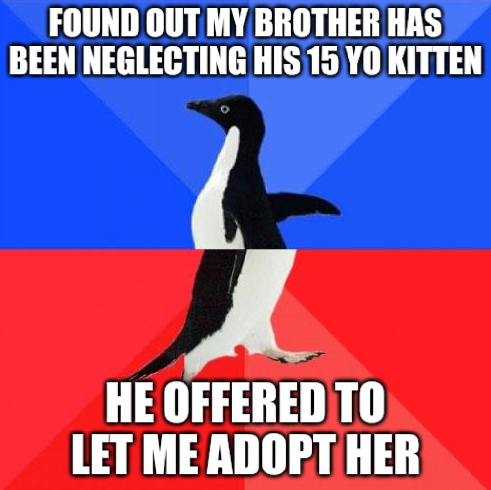 FOUND OUT MY BROTHER HAS BEEN NEGLECTING HIS 15 YO KITTEN HE OFFERED TO LET ME ADOPT HER