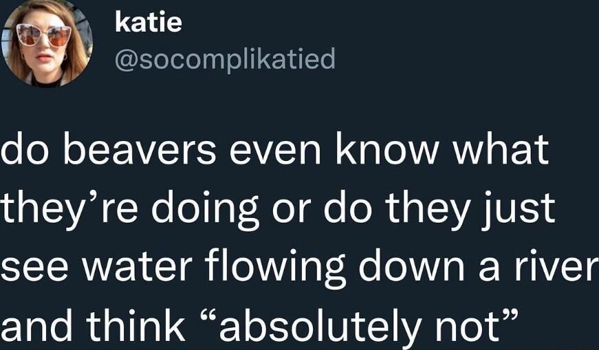 M katie i socomplikatied do beavers even know what theyre doing or do they just see water flowing down a river and think absolutely not