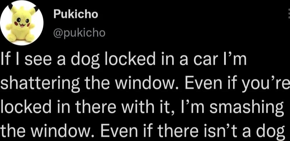 Pukicho pukicho If see a dog locked in a car Im shattering the window Even if youre locked in there with it Im smashing the window Even if there isnt a dog