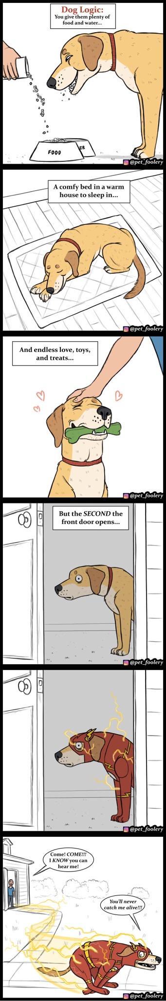 Dog Logic You give them plenty of food and water A comfy bed in a warm house tosleep in And endless love toys and treats _foolery But the SECOND the front door opens pet_foolery pet_foolery Youll never catch me alive1