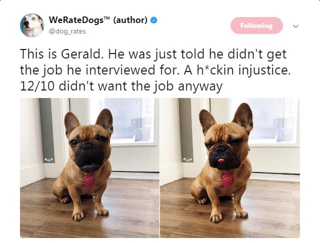 h WeRateDogs author dog rates This is Gerald He was just told he didnt get the job he interviewed for A hckin injustice 1210 didnt want the job anyway e