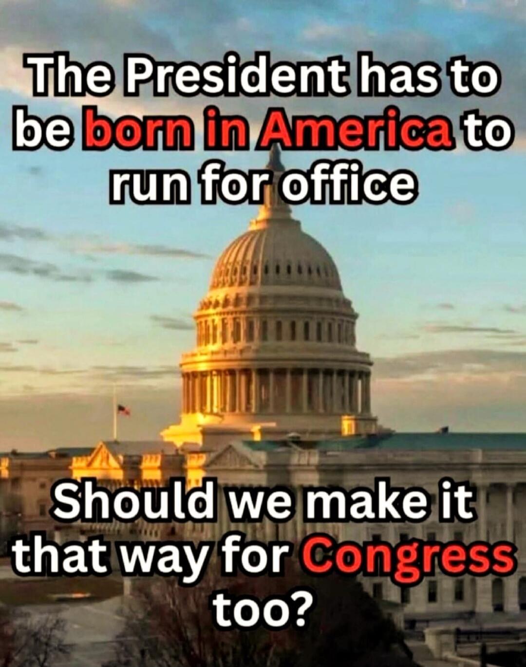 The President has to be born in America to run for office. Should we make it that way for Congress too?