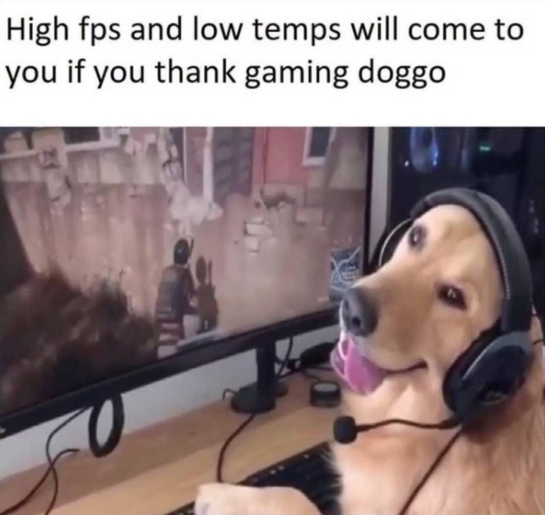 High fps and low temps will come to you if you thank gaming doggo