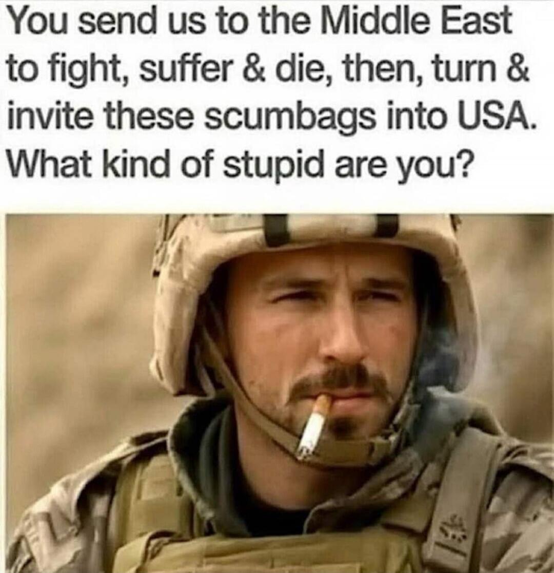 You send us to the Middle East to fight, suffer & die, then, turn & invite these scumbags into USA. What kind of stupid are you?