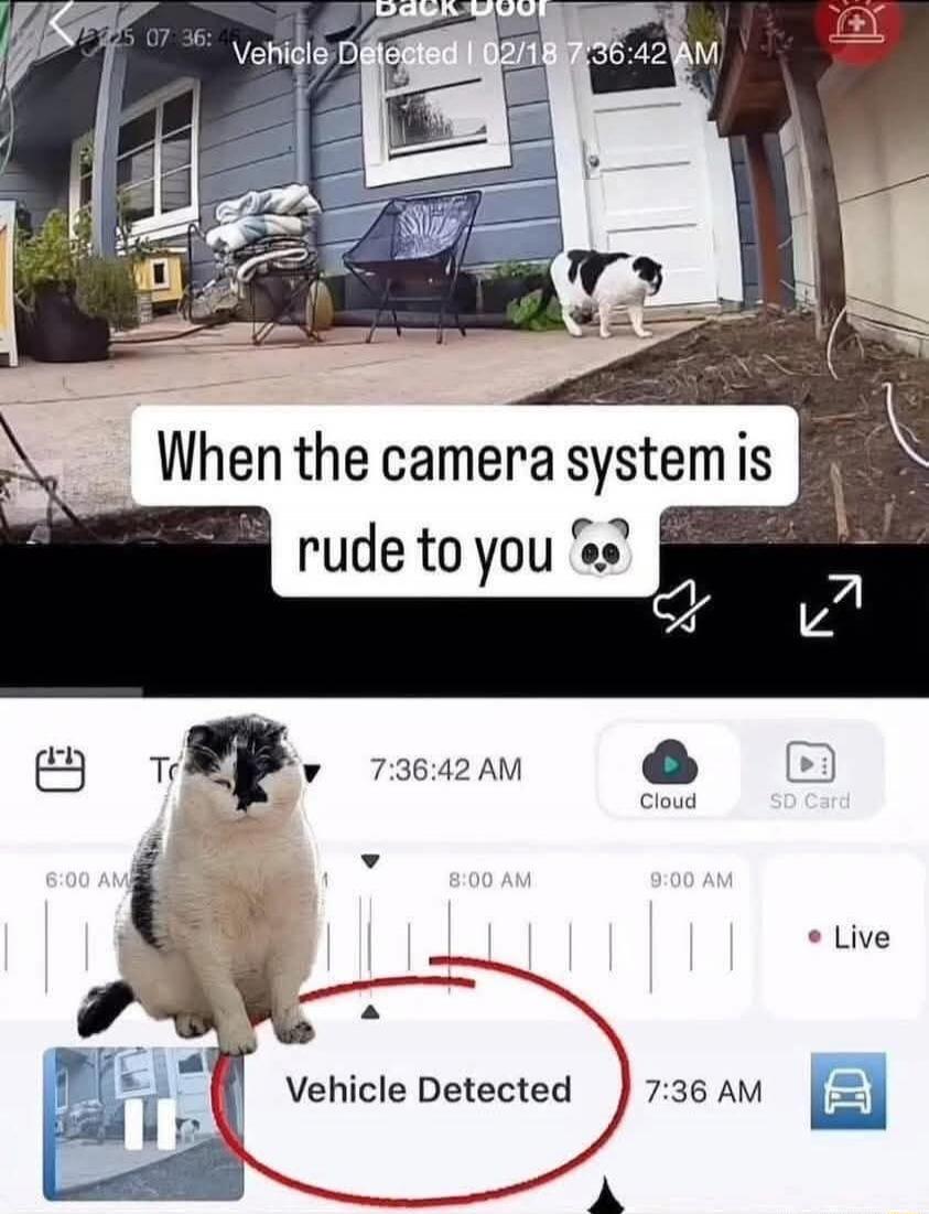 When the camera system is rude to you 🐼
Vehicle Detected