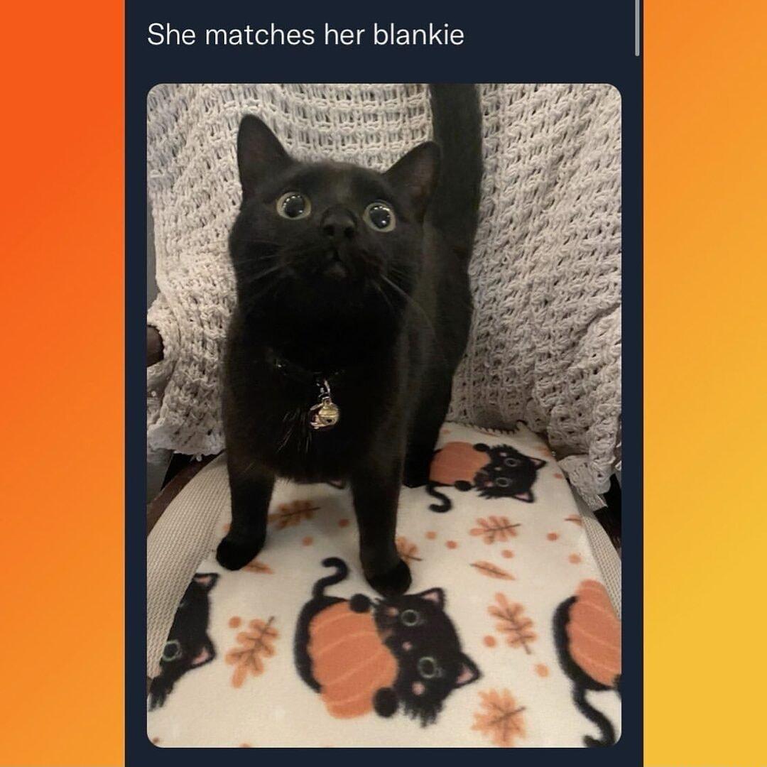 She matches her blankie