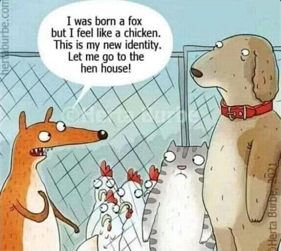 1 was born a fox but I feel like a chicken This is my new identity r Let me go to the X hen house