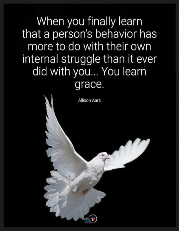 When you finally learn that a person's behavior has more to do with their own internal struggle than it ever did with you... You learn grace. Allison Aars