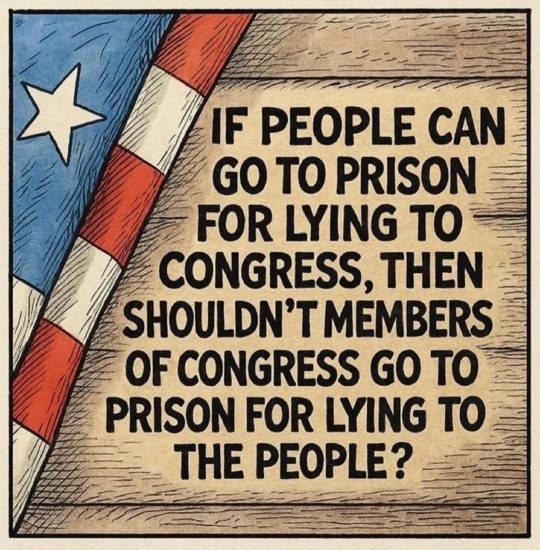 IF PEOPLE CAN GO TO PRISON FOR LYING TO CONGRESS, THEN SHOULDN'T MEMBERS OF CONGRESS GO TO PRISON FOR LYING TO THE PEOPLE?
