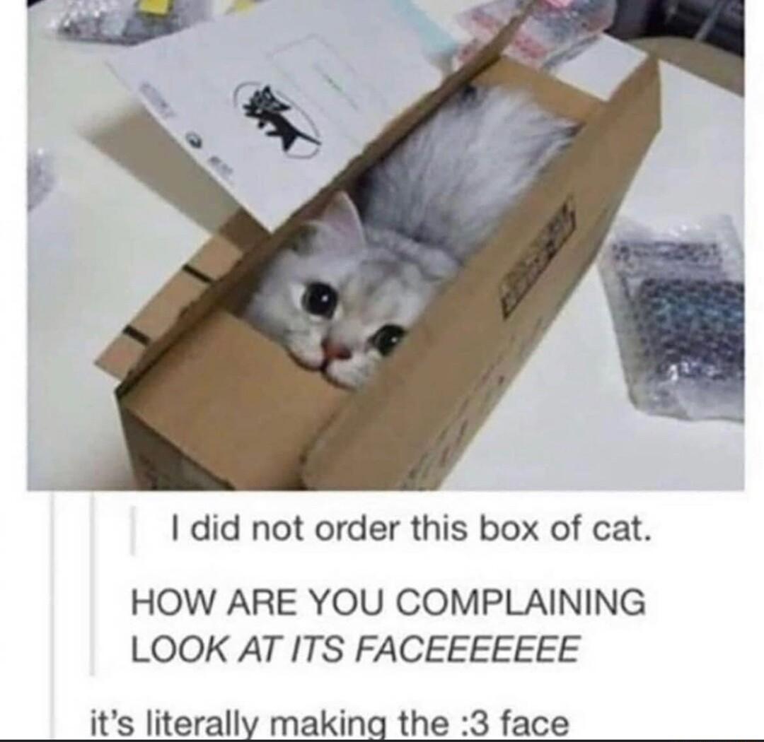 did not order this box of cat HOW ARE YOU COMPLAINING LOOK AT ITS FACEEEEEEE its literally making the 3 face