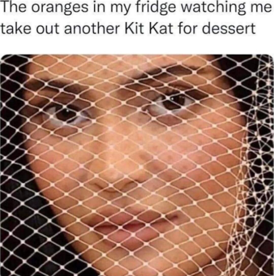 e oranges in my fridge watching me take out another Kit Kat for dessert X PeTS N s N g 2 2 _ l