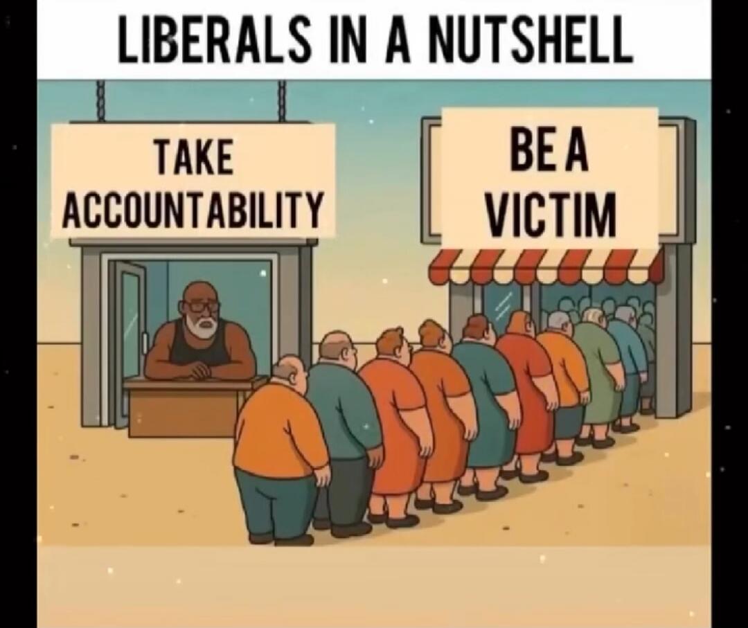 LIBERALS IN A NUTSHELL
TAKE ACCOUNTABILITY
BE A VICTIM