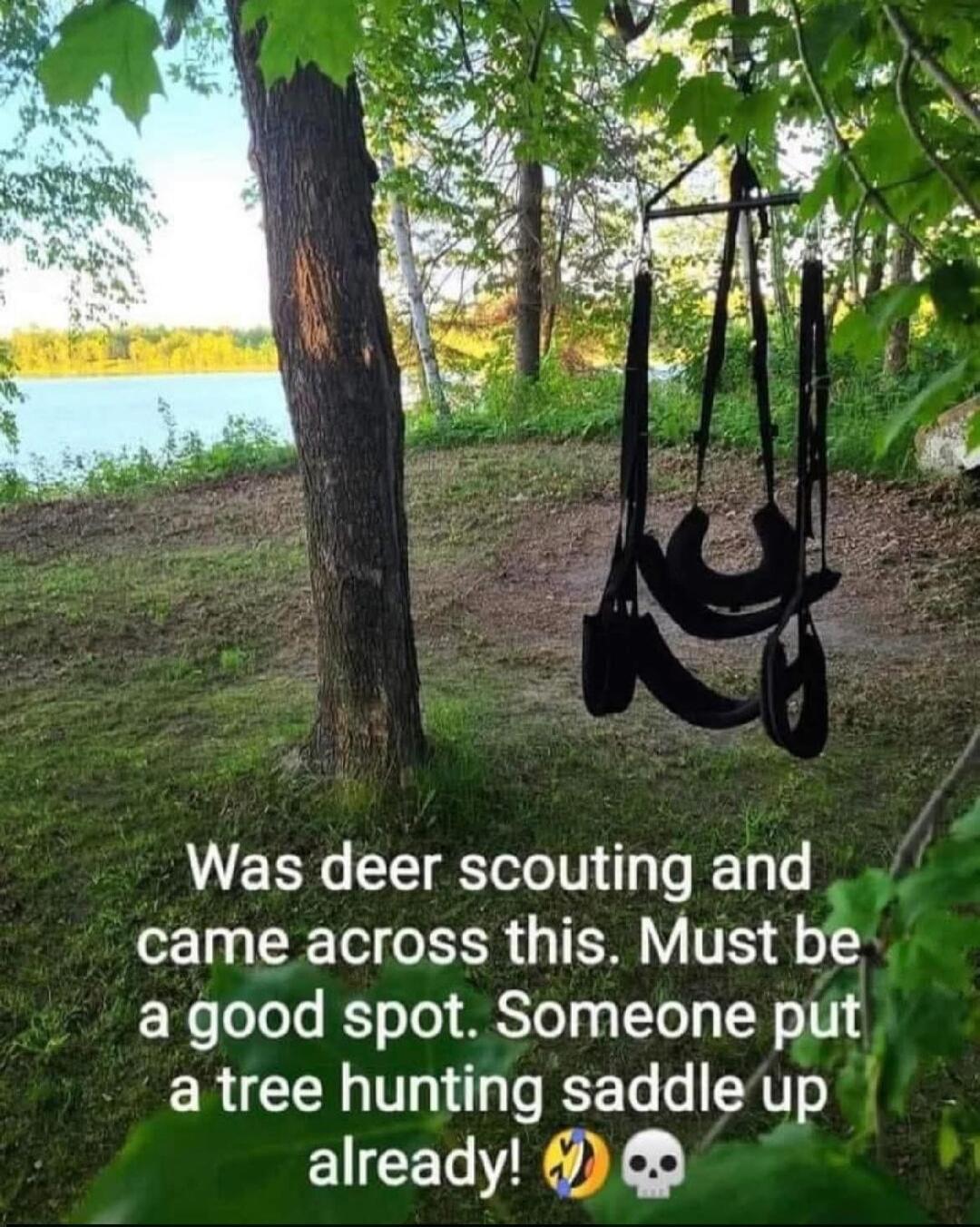Was deer scouting and came across this. Must be a good spot. Someone put a tree hunting saddle up already! 🤣💀