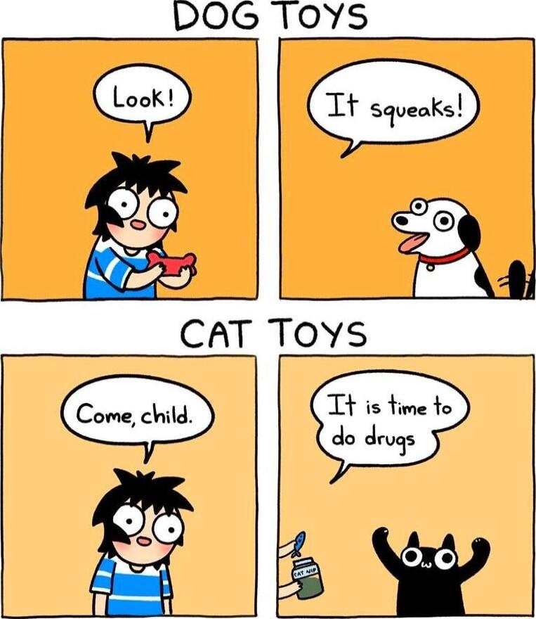 LOG TOYS CAT Tovs
