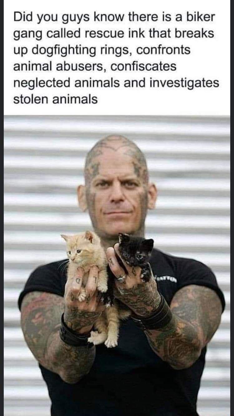 Did you guys know there is a biker gang called rescue ink that breaks up dogfighting rings confronts animal abusers confiscates neglected animals and investigates stolen animals