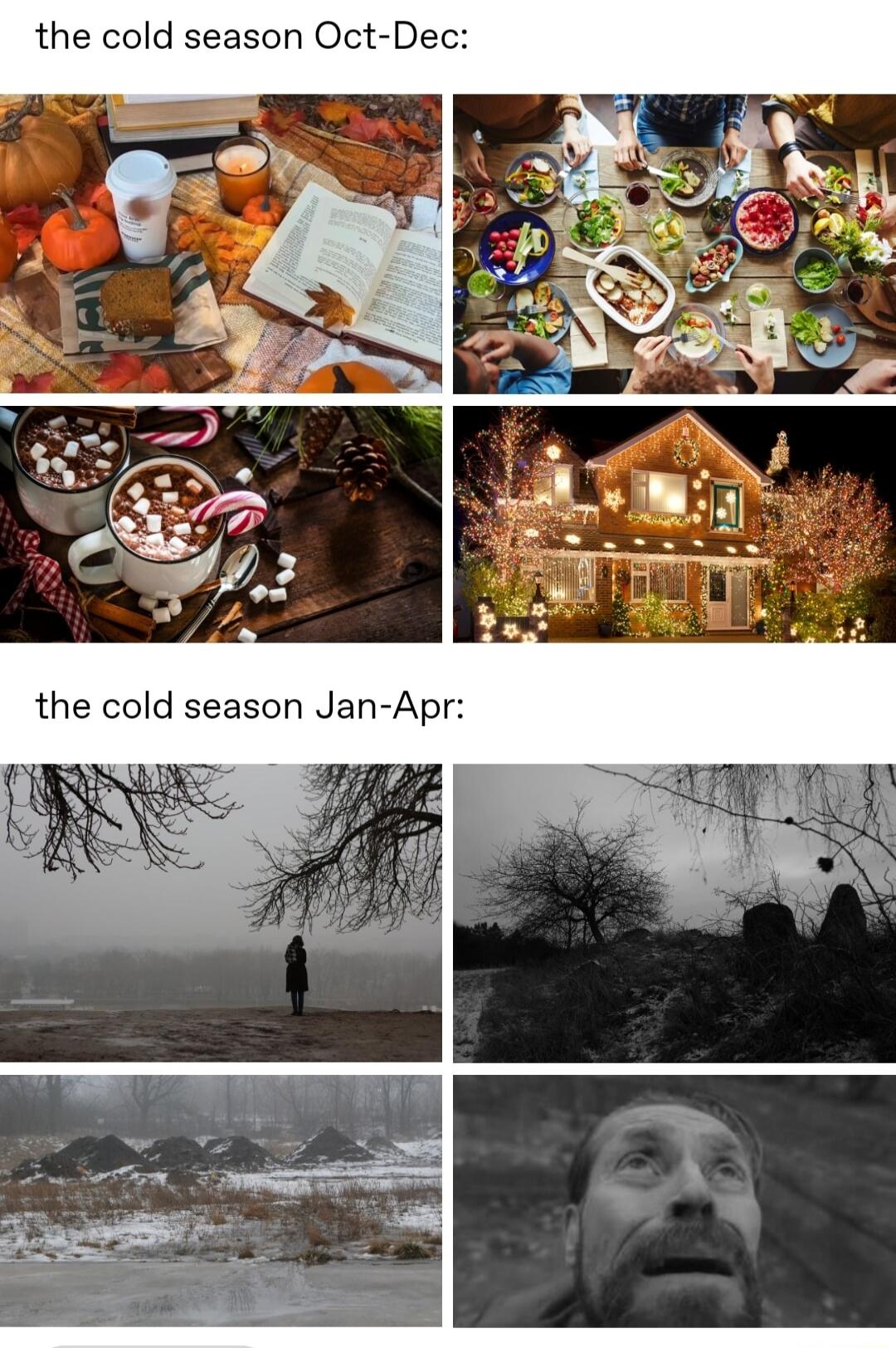 the cold season Oct-Dec:

(the collage shows cozy autumn/winter imagery: pumpkin decor, warm drinks, holiday foods, and a lit house)

the cold season Jan-Apr:

(the collage shows grayscale winter scenes: solitary figure, bare trees, snowy landscapes, and a close-up of a stressed-looking man)