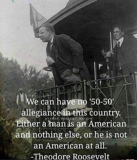 L i L W can 50 50 3 alleglac HiS Country mler aman is an American aaid nothing eIse orheisnot an American at all Theodore Roosevelt