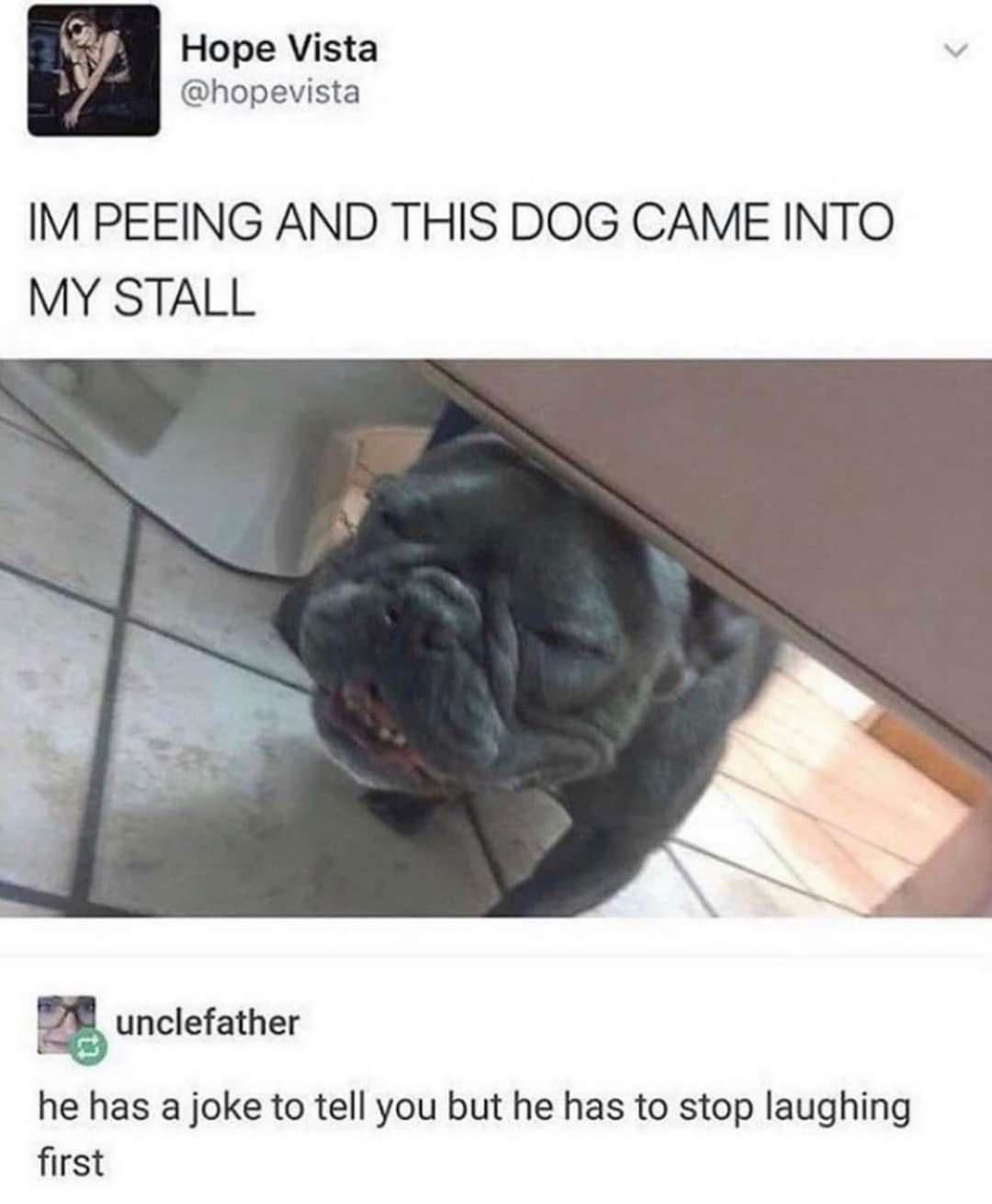 Hope Vista hopevista IM PEEING AND THIS DOG CAME INTO MY STALL unclefather he has a joke to tell you but he has to stop laughing first