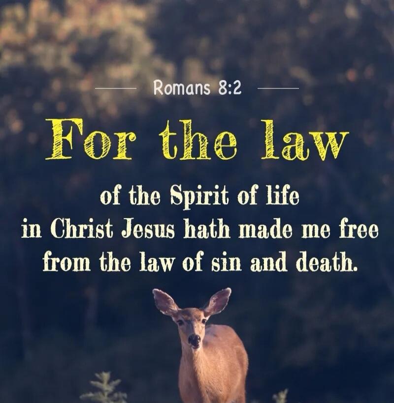 Romans 8:2 For the law of the Spirit of life in Christ Jesus hath made me free from the law of sin and death.