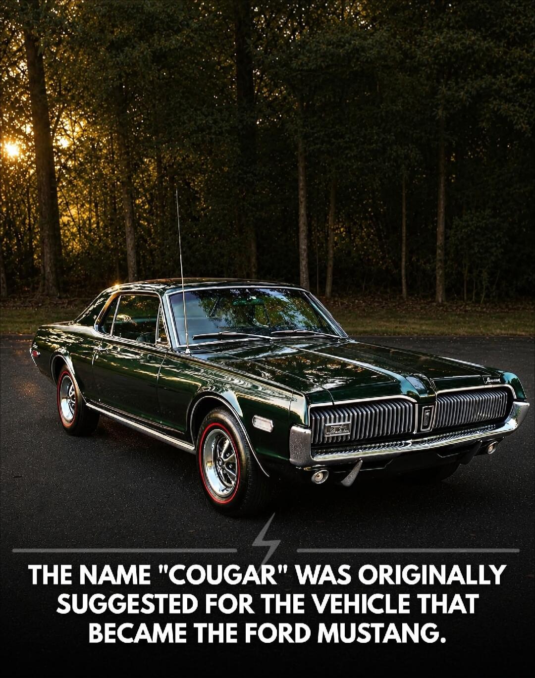 THE NAME 