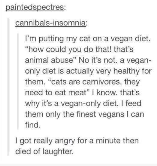 paintedspectres cannibals insomnia Im putting my cat on a vegan diet how could you do that thats animal abuse No its not a vegan only diet is actually very healthy for them cats are carnivores they need to eat meat know thats why its a vegan only diet feed them only the finest vegans can find got really angry for a minute then died of laughter