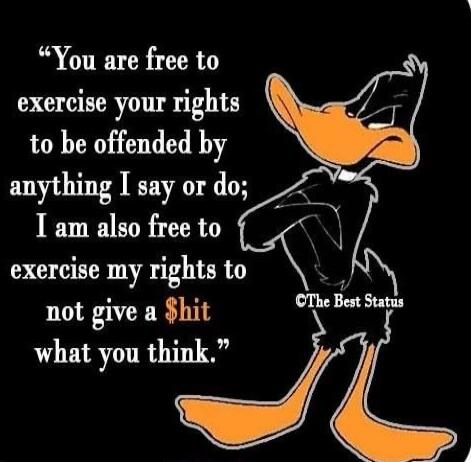 You are free to exercise your rights to be offended by anything I say or do; I am also free to exercise my rights to not give a $hit what you think. ©The Best Status