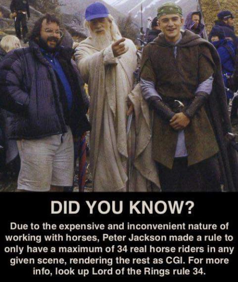 M o0 YOU KNOW Due to the expensive and inconvenient nature of working with horses Peter Jackson made a rule to only have a maximum of 34 real horse riders in any given scene rendering the rest as CGI For more info look up Lord of the Rings rule 34