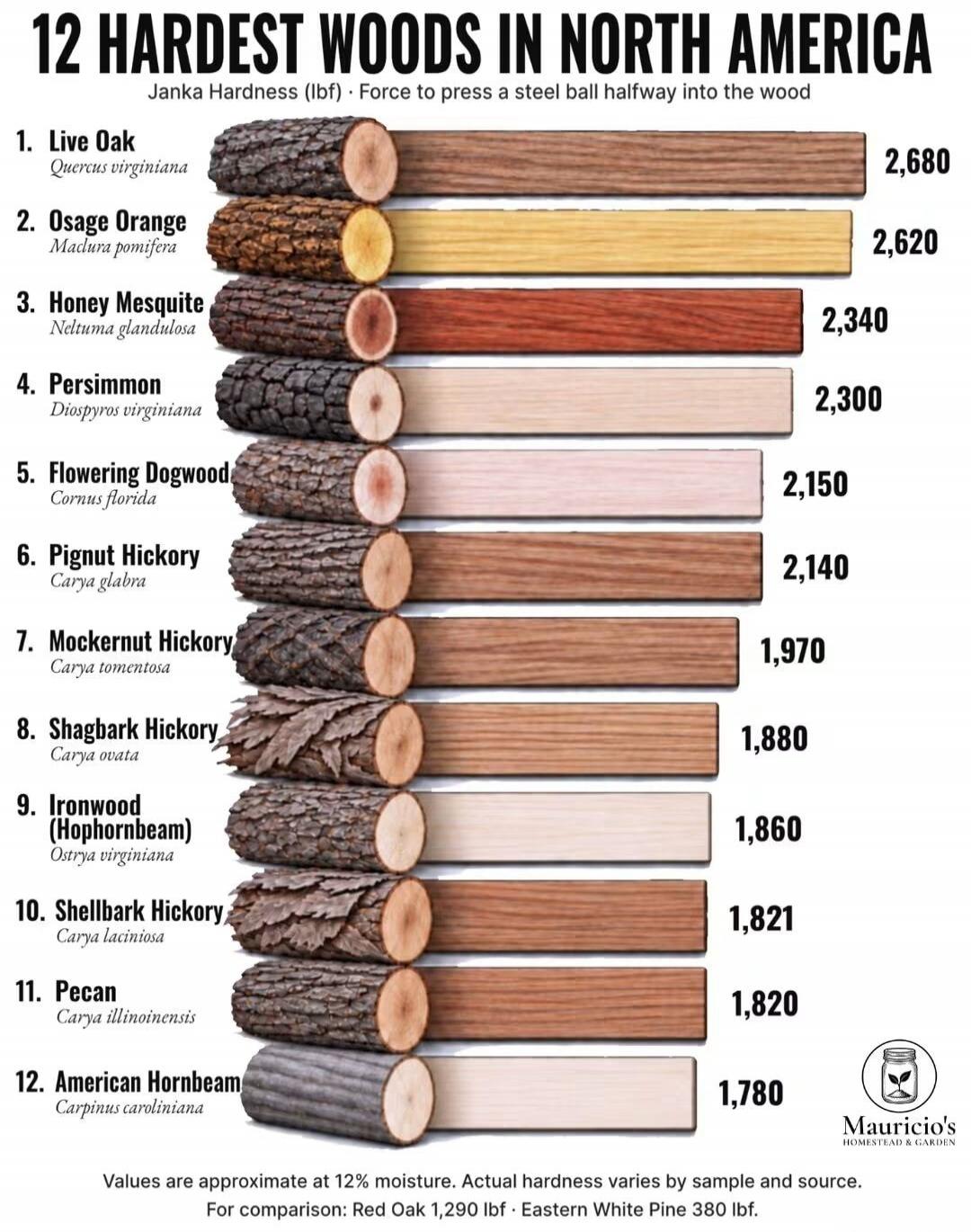 12 HARDEST WOODS IN NORTH AMERICA Janka Hardness (lbf) Force to press a steel ball halfway into the wood 1. Live Oak 2,680 2. Osage Orange 2,620 3. Honey Mesquite 2,340 4. Persimmon 2,300 5. Flowering Dogwood 2,150 6. Pignut Hickory 2,140 7. Mockernut Hickory 1,970 8. Shagbark Hickory 1,880 9. Ironwood 1,860 10. Shellbark Hickory 1,821 11. Pecan 1,