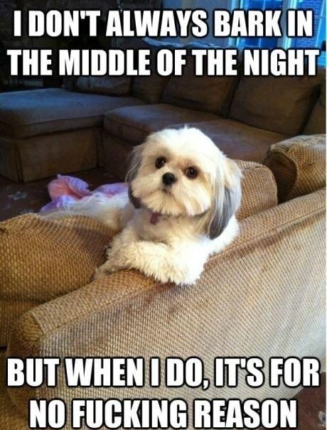 1 DONT ALWAYS BARKIN THE MIDDLE OF THE NIGHT S