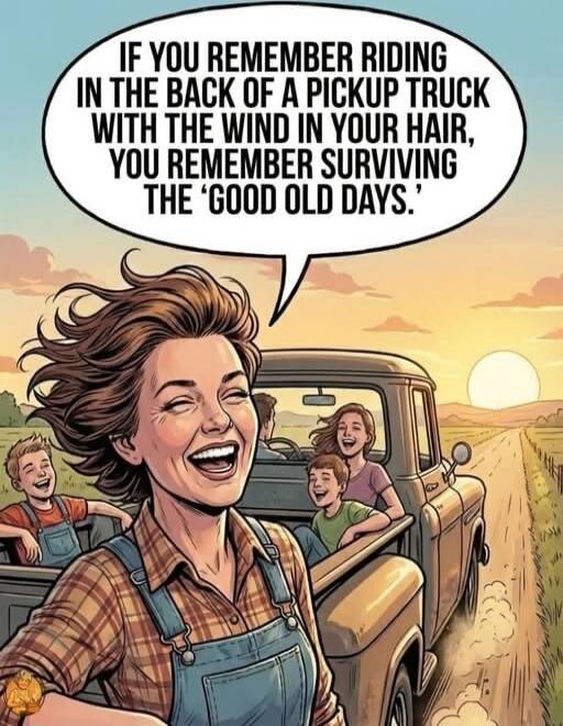 IF YOU REMEMBER RIDING IN THE BACK OF A PICKUP TRUCK WITH THE WIND IN YOUR HAIR, YOU REMEMBER SURVIVING THE 'GOOD OLD DAYS.'