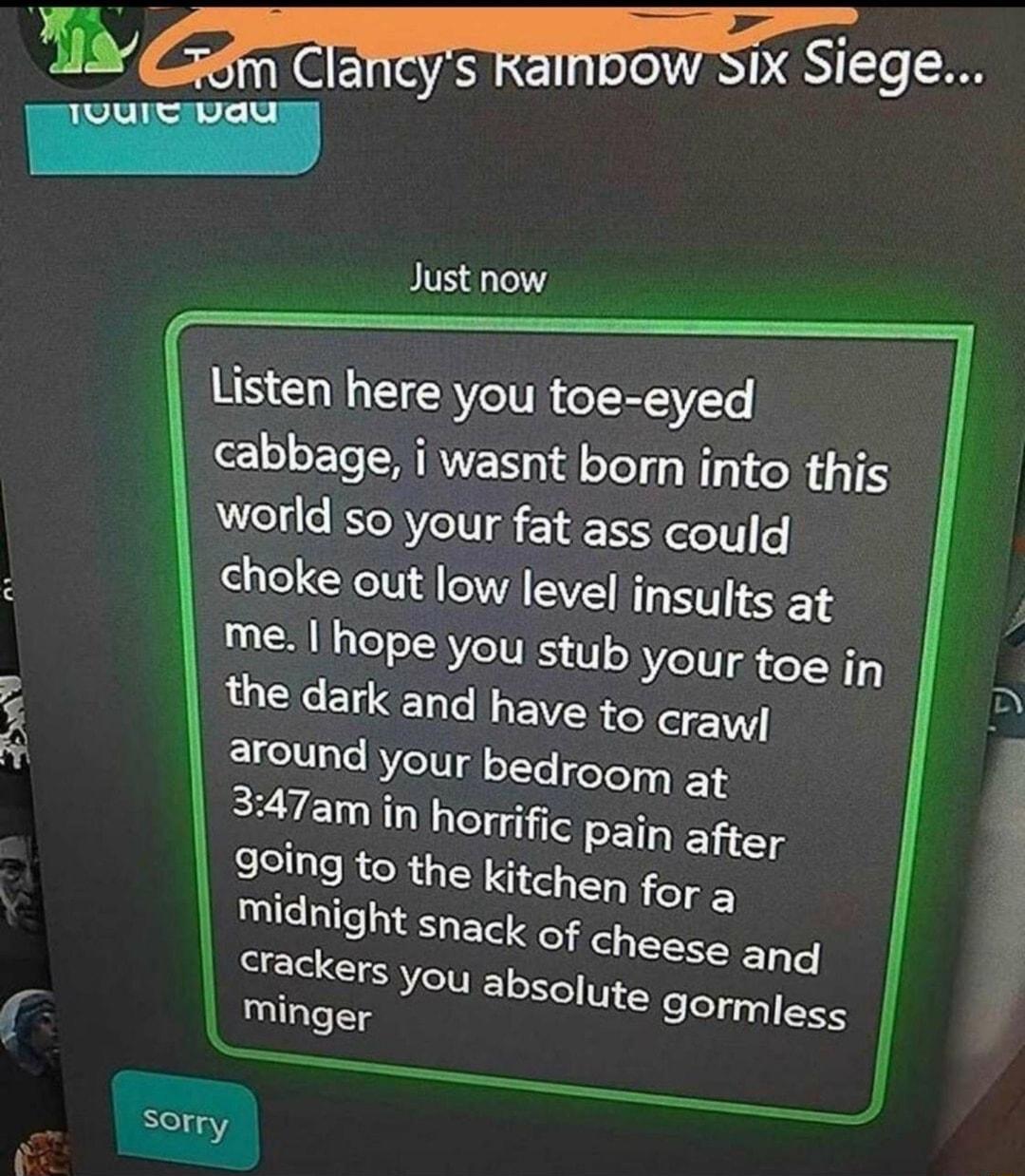 G e bW Six Siege e Just now Listen here you toe eyed cabbage i wasnt born into this world so your fat ass elolto choke out low level insults at me hope you stub your toe in the dark and have to craw around your bedroom at EZY AT horrific Pain after 90ing to the kitchen for a midnight snack Sorry