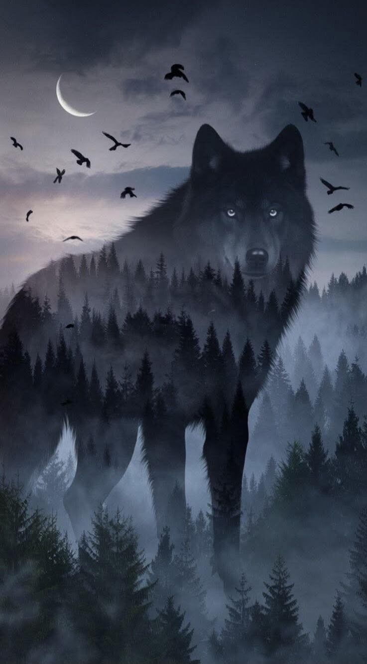 A dark wolf standing in a misty forest at night under a crescent moon, with birds flying across the sky.