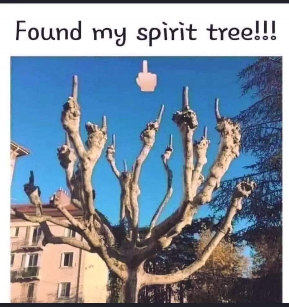Found my spirit tree!!!