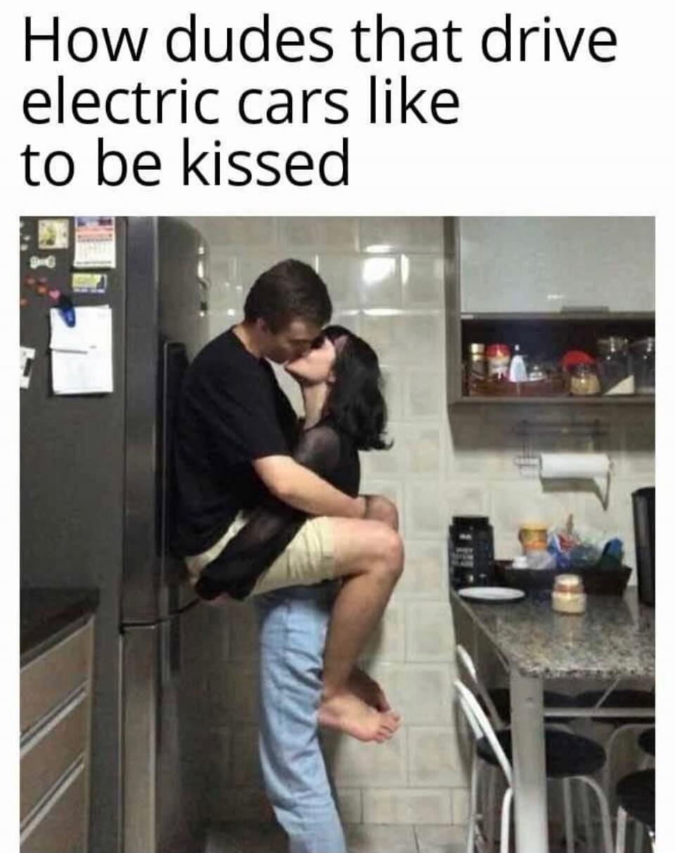 How dudes that drive electric cars like to be kissed