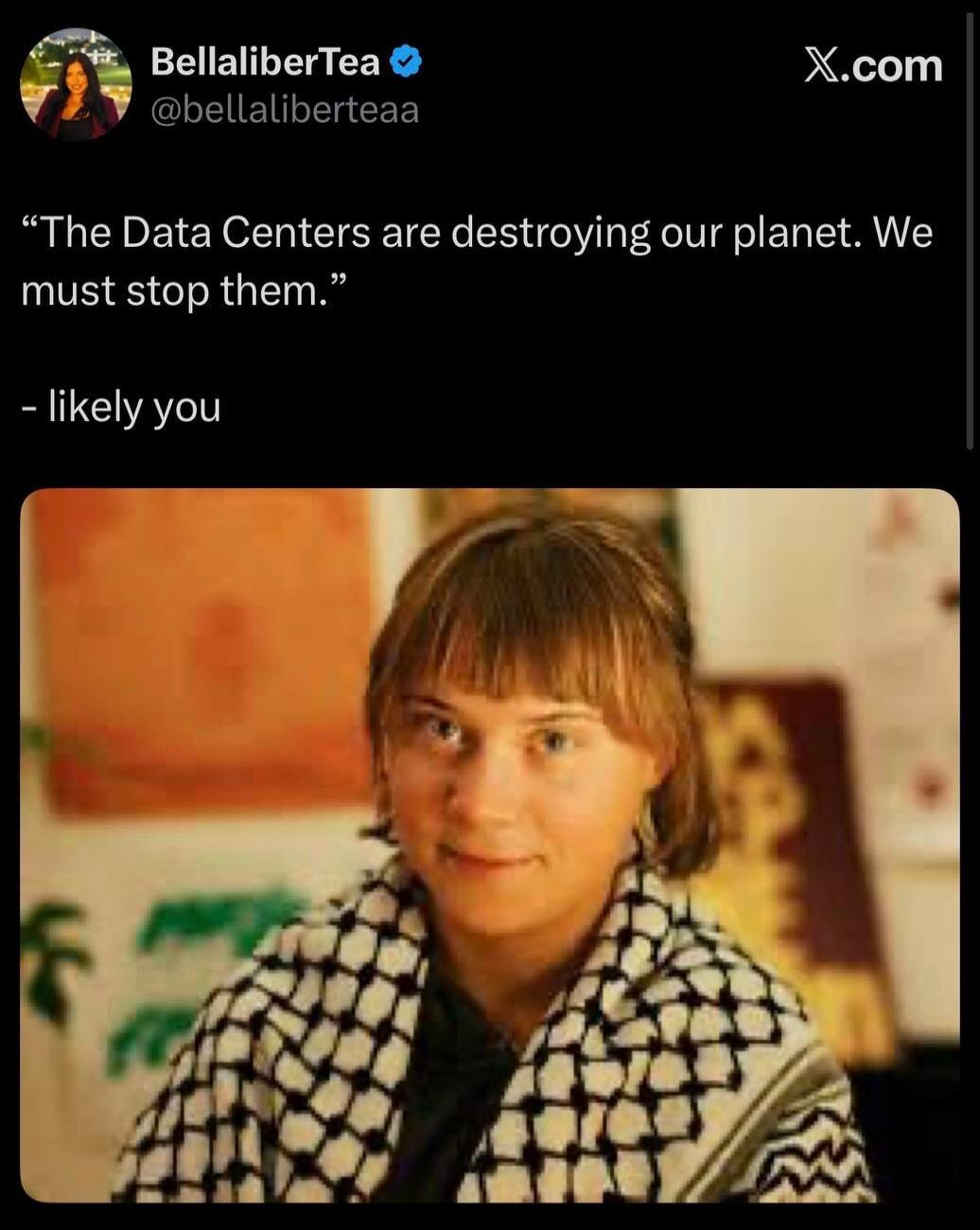 BellaliberTea @bellaliberteaa X.com “The Data Centers are destroying our planet. We must stop them.” - likely you. The image shows a person resembling Greta Thunberg wearing a keffiyeh.