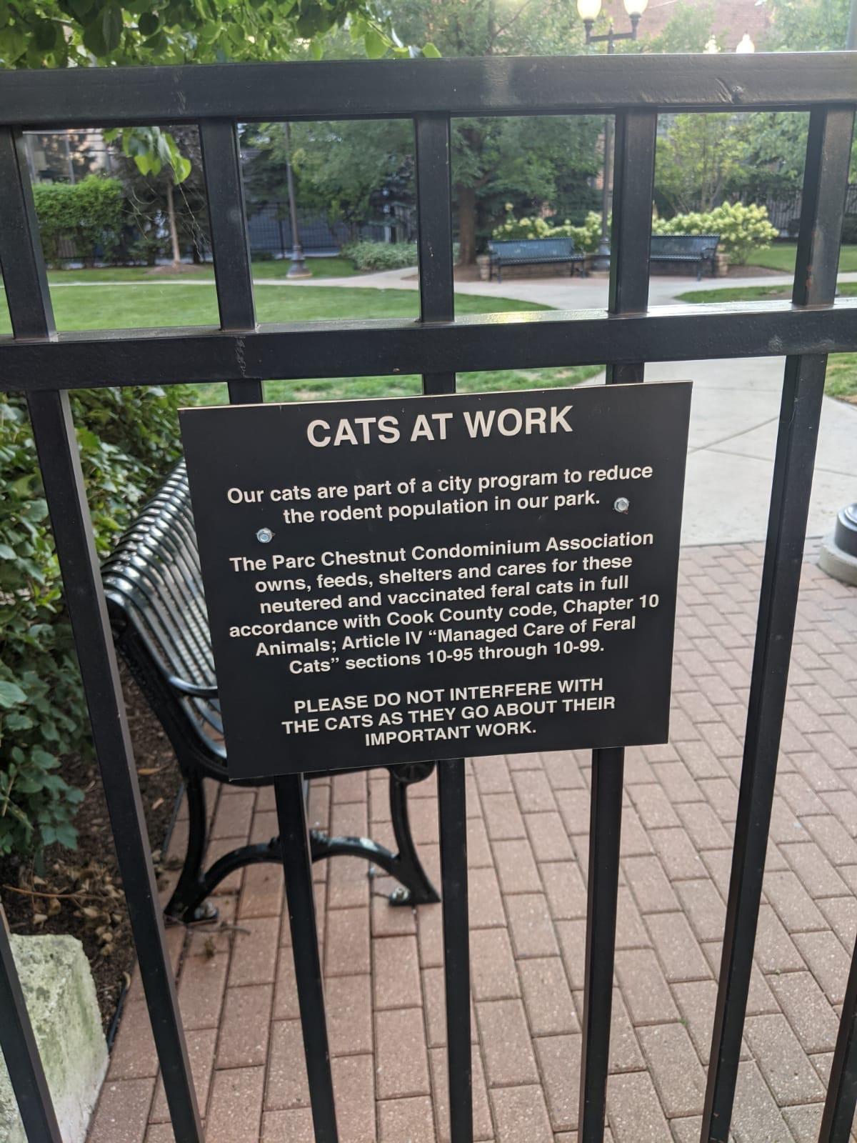 city program to reduce Our cats are part ofa lation in our park the rodent popu The Parc Chestnut Condominium Association for these RFERE WITH BOUT THEIR PLEASE DO NOT INTE THE CATS AS THEY GO Al IMPORTANT el19