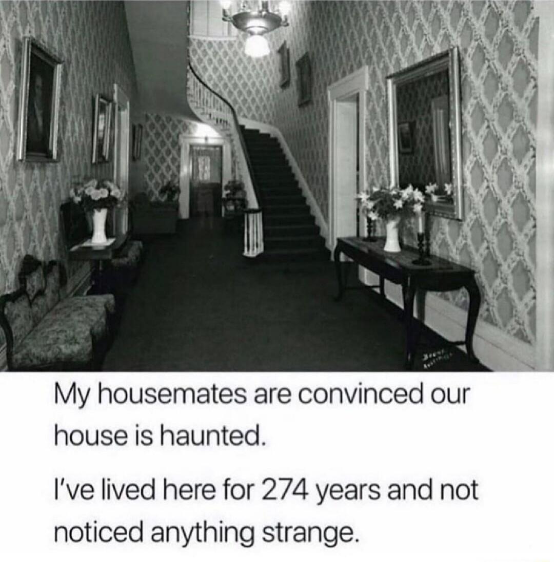 My housemates are convinced our house is haunted. I’ve lived here for 274 years and not noticed anything strange.