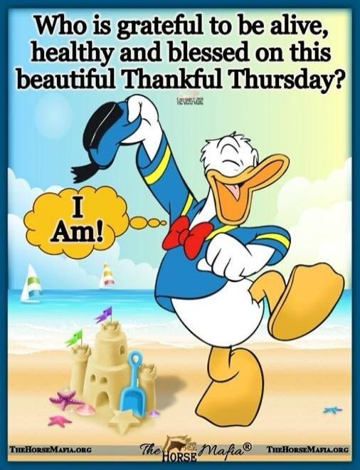 Who is grateful to be alive, healthy and blessed on this beautiful Thankful Thursday? I Am!